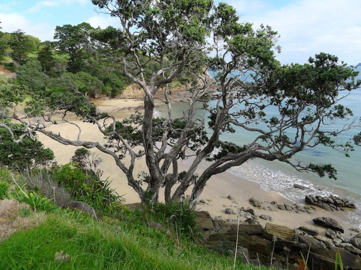 Anglers Lodge Coromandel Esterno foto